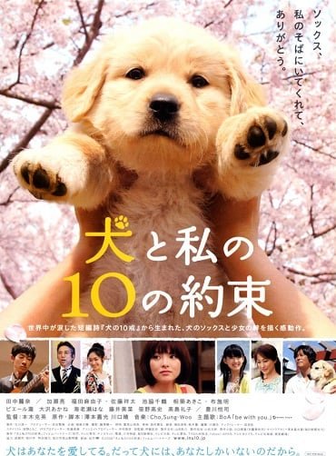 ดูหนังออนไลน์ 10 Promises to My Dog (2008) 10 ข้อสัญญาน้องหมาของฉัน