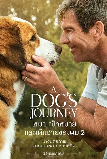 ดูหนัง A Dog’s Journey (2019) หมา เป้าหมาย และเด็กชายของผม 2