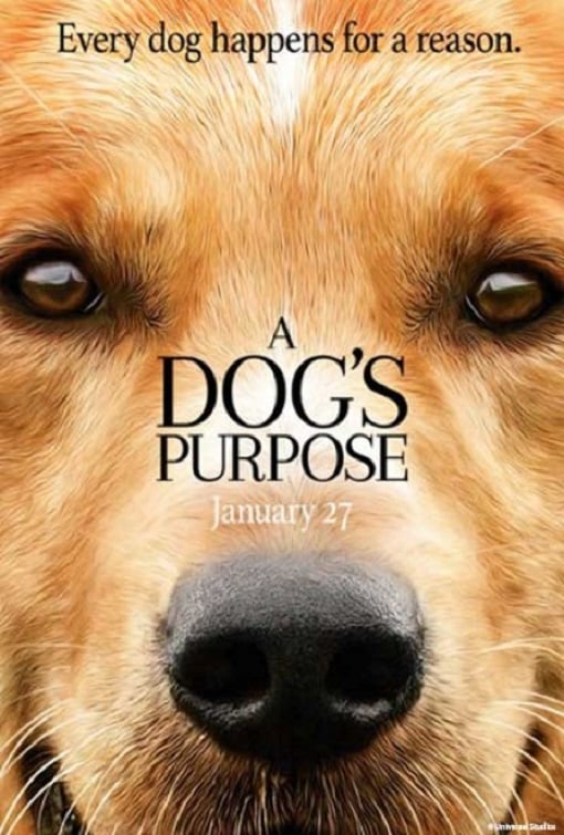 ดูหนังออนไลน์ A Dog’s Purpose (2017) หมา เป้าหมาย และเด็กชายของผม