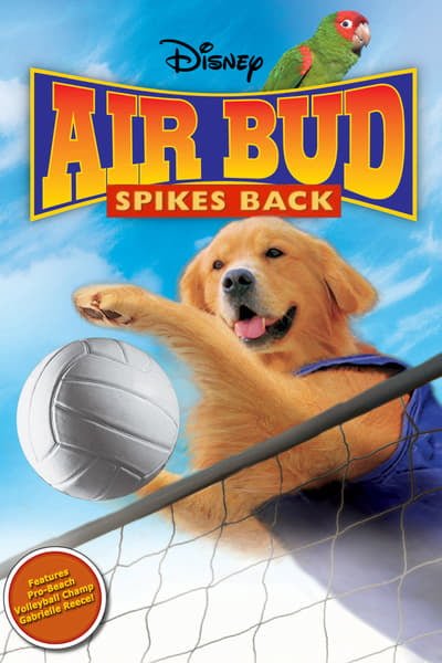 ดูหนังออนไลน์ฟรี Air Bud 5 Spikes Back (2003) ซุปเปอร์หมา ตบสะท้านคอร์ด