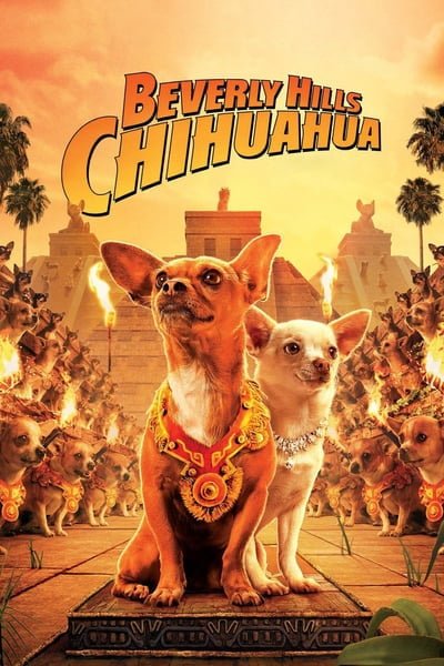 ดูหนังออนไลน์ Beverly Hills Chihuahua 1 (2008) คุณหมาไฮโซ โกบ้านนอก ภาค 1