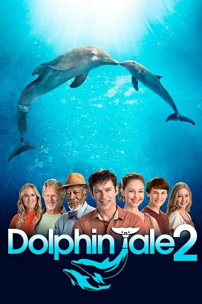 ดูหนังออนไลน์ Dolphin Tale 2 (2014) มหัศจรรย์โลมาหัวใจนักสู้ 2