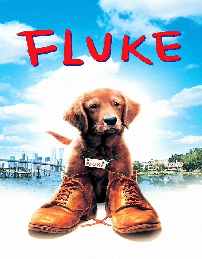 ดูหนังออนไลน์ Fluke (1995) เกิดใหม่กลายเป็นหมา