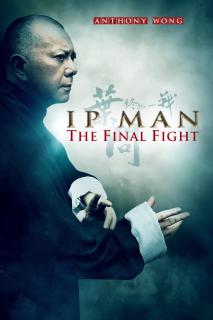 ดูหนังออนไลน์ Ip Man The Final Fight (2013) หมัดสุดท้าย ปรมาจารย์ยิปมัน