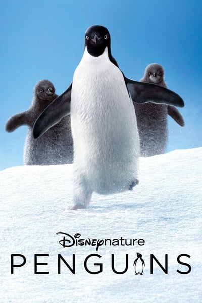 ดูหนัง Penguins (2019)