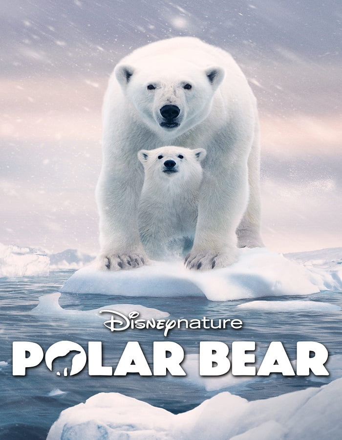 ดูหนังออนไลน์ Polar Bear (2022)