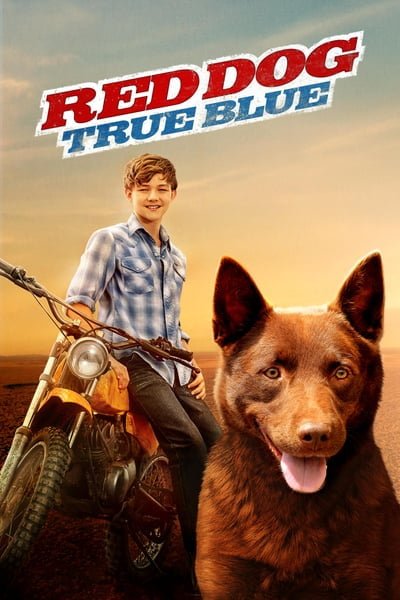 ดูหนังออนไลน์ Red Dog True Blue (2016)