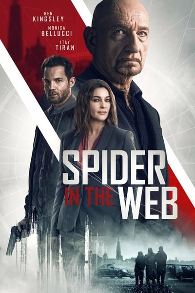 ดูหนังออนไลน์ฟรี Spider in the Web (2019)