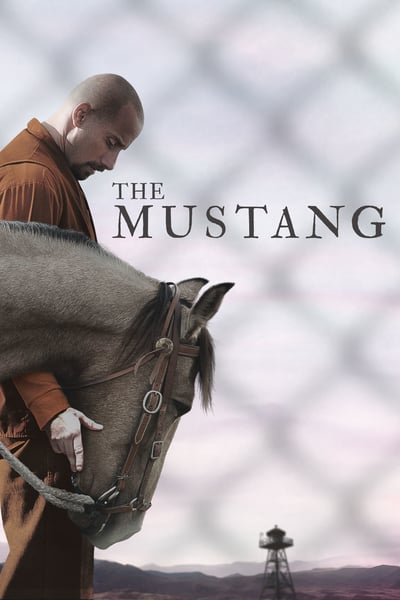 ดูหนังออนไลน์ The Mustang (2019)