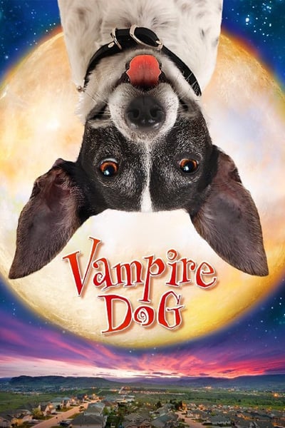 ดูหนังออนไลน์ฟรี Vampire Dog (2012) คุณหมาแวมไพร์