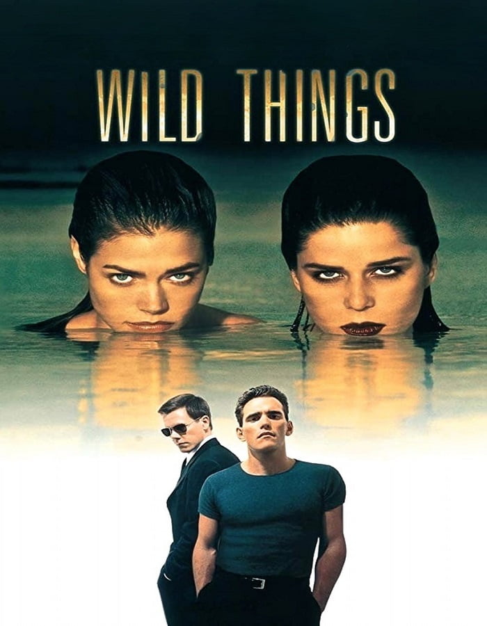 ดูหนังออนไลน์ Wild Things (1998) เกมซ่อนกล