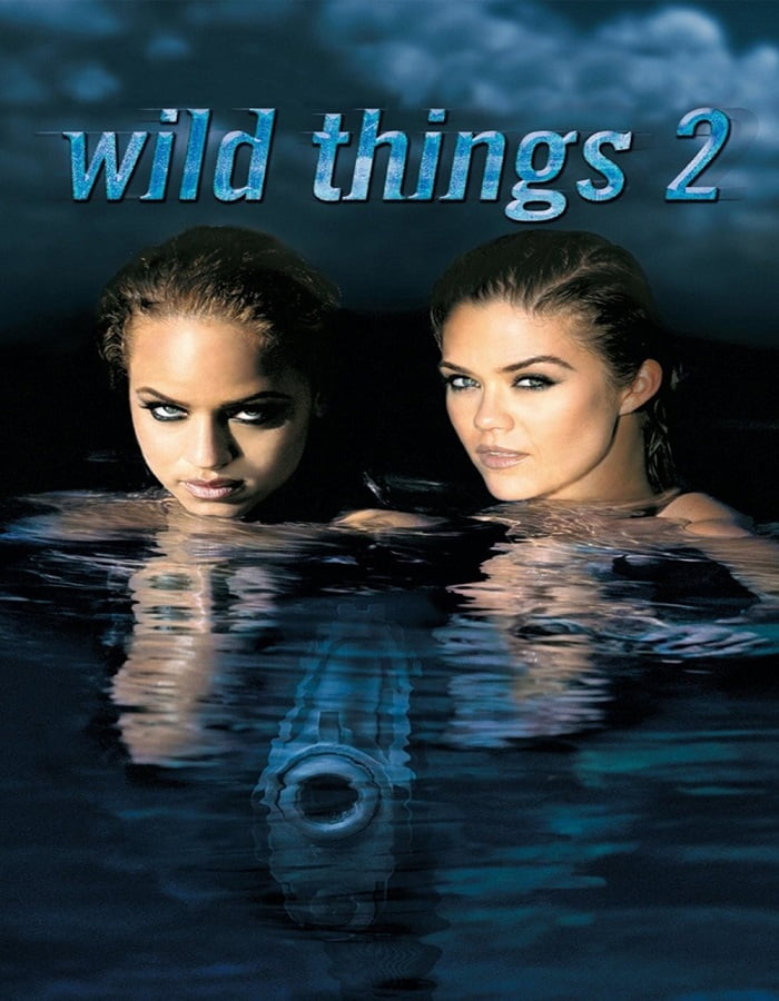 ดูหนังออนไลน์ฟรี Wild thing 2 (2004) เกมซ่อนกล 2