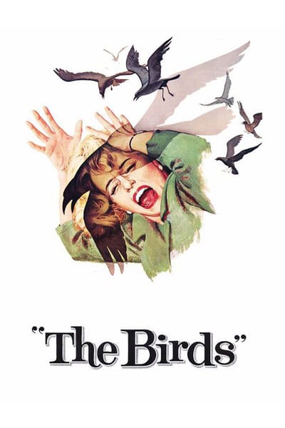 ดูหนังออนไลน์ฟรี The Birds (1963) นก นก นก